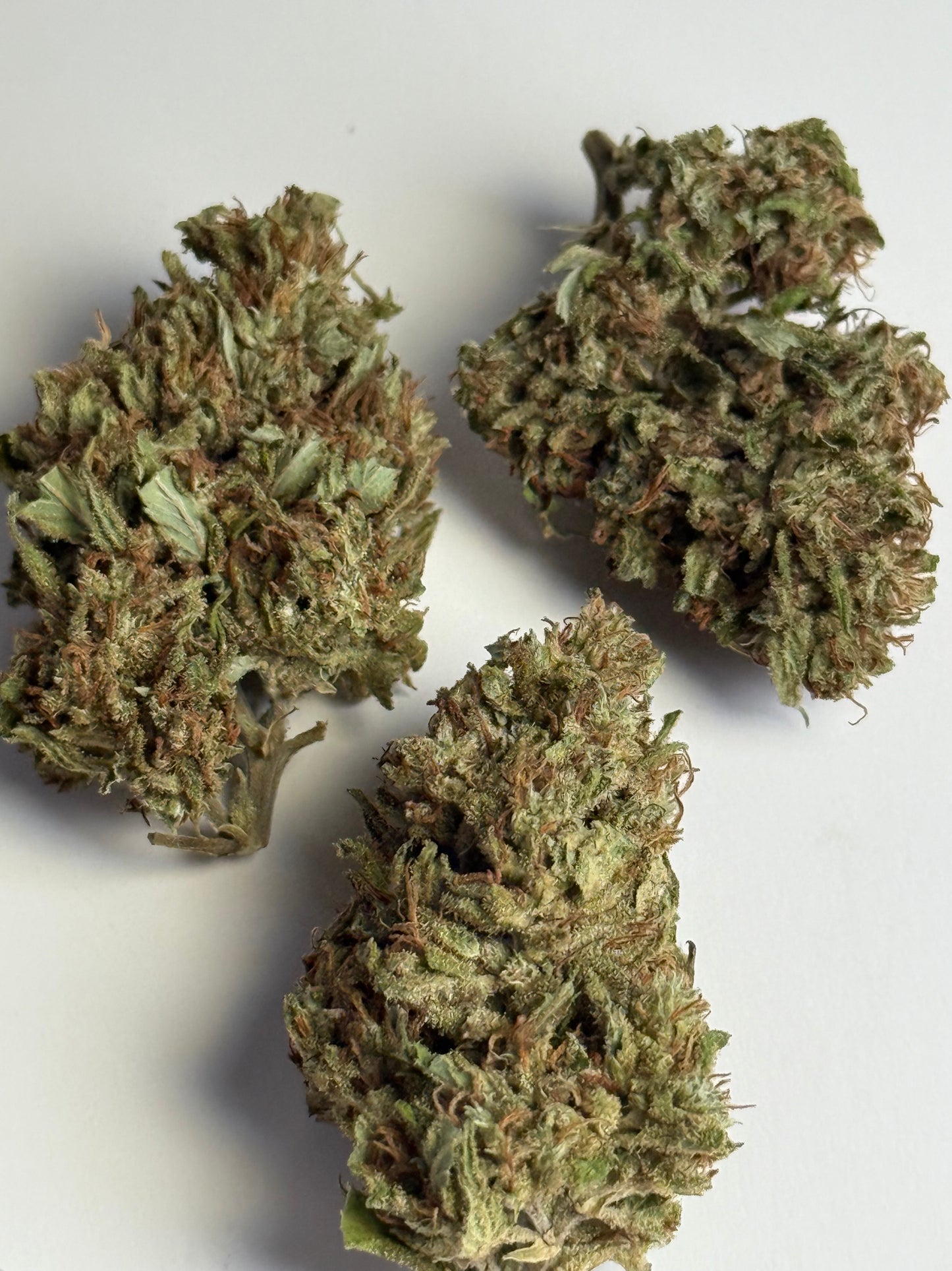 Lilac Diesel